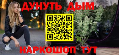 крисы Ливны