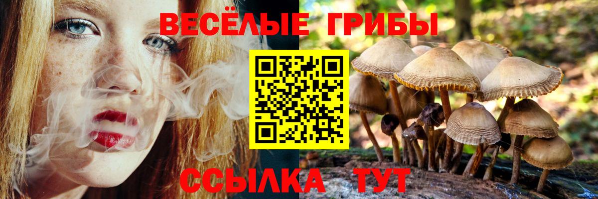 Псилоцибиновые грибы Psilocybine cubensis  Вход с VPN  Мончегорск 